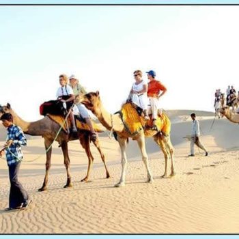 camel safari in Jaisalmer